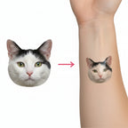 Cat with a tattoo of itself on a person's arm